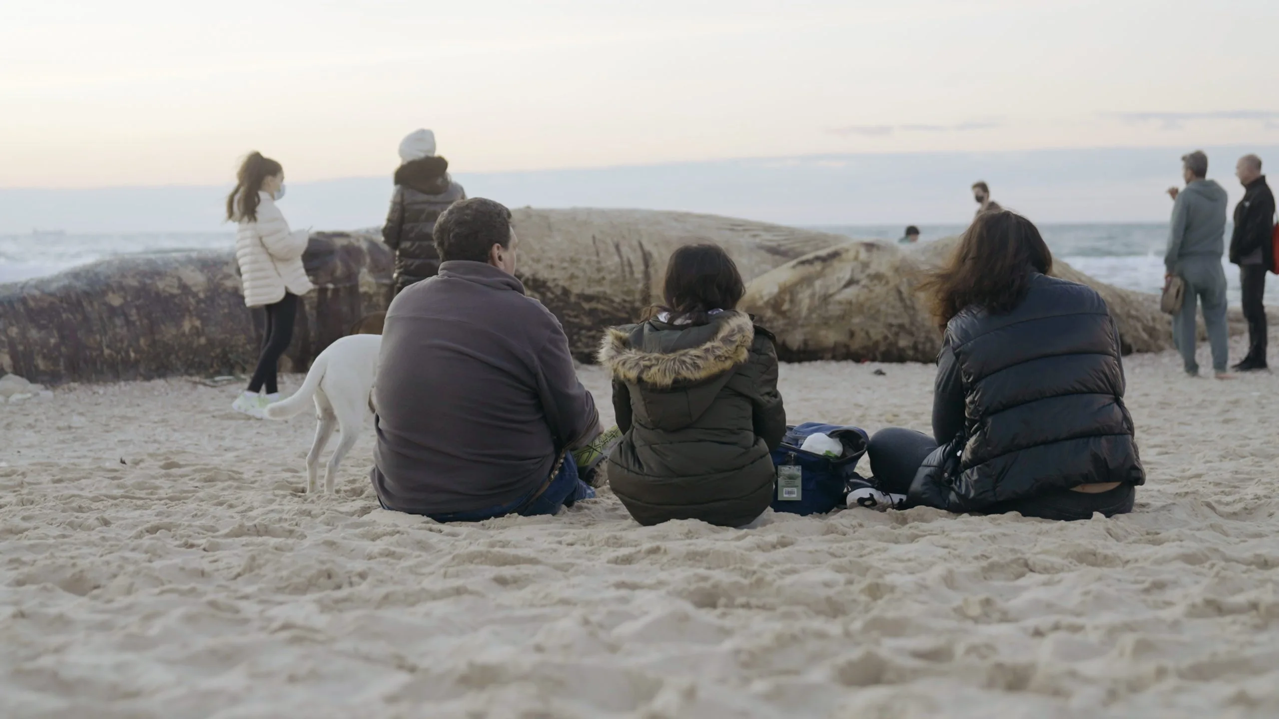 ZSIFI Rövidfilmek II. – Hol vagyok én a tömegben?